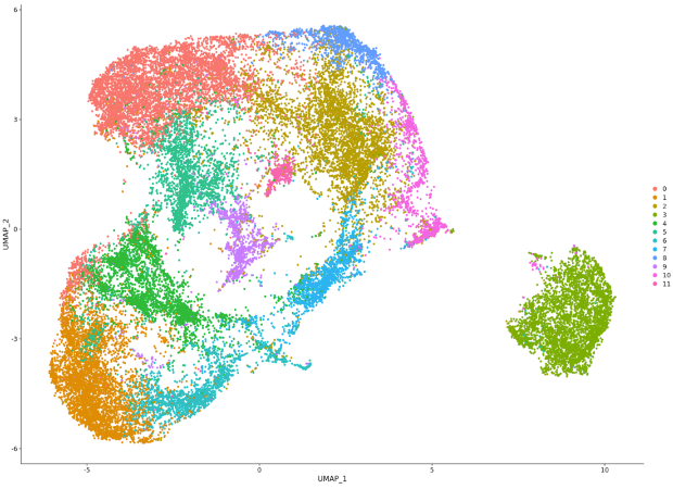 クラスタリング結果（UMAP）