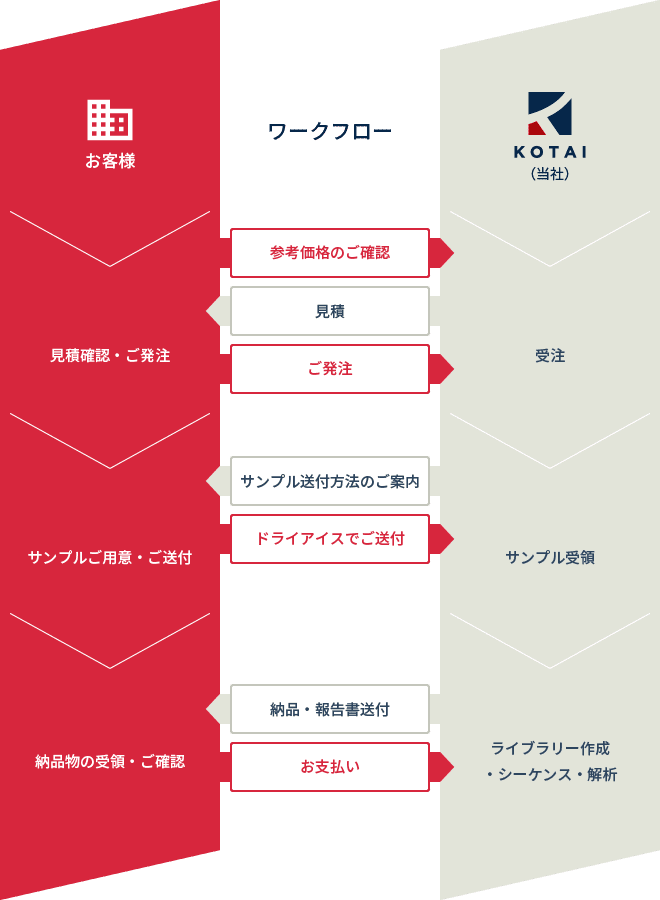 海外限定 イチゴ輸送中の衝撃解析と損傷発生予測 イチゴ自殖実生を用いた後代検定による炭疽病抵抗性評価法開発 ほか 