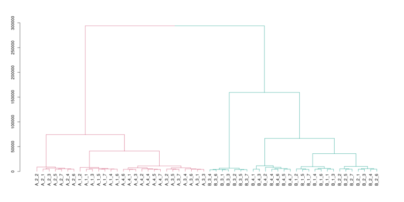 クラスタリング結果の画像