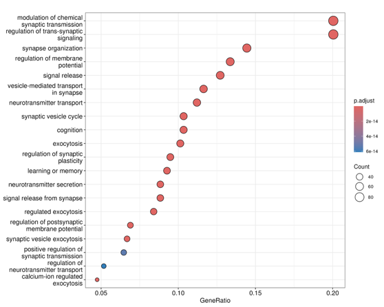 Enrichment解析結果の画像