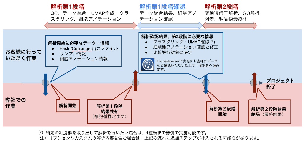 標準解析の流れの画像