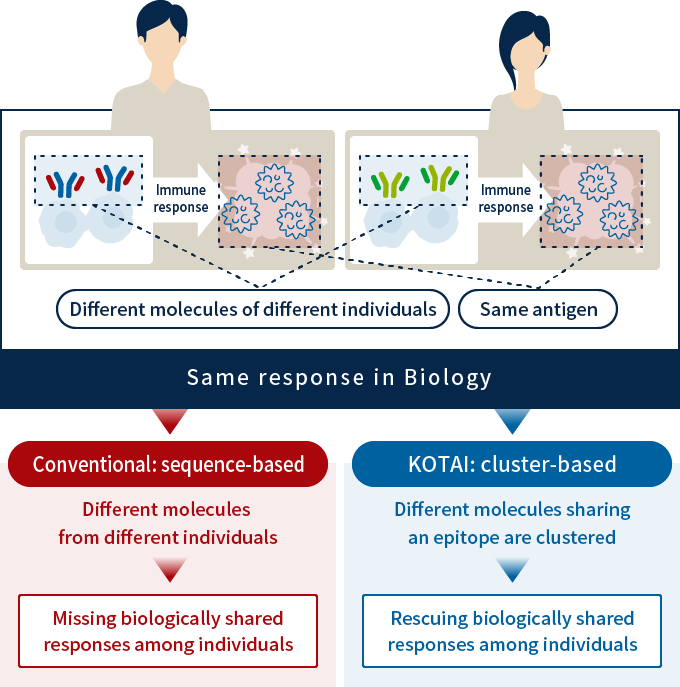 Possibility of immune repertoire analysis